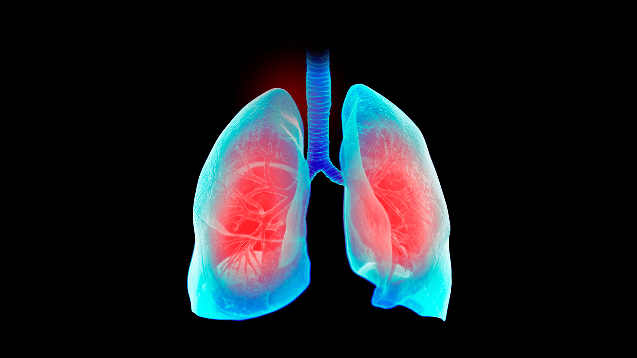 Akciğer ve Diğer Organlar | Moleküler Hidrojen Araştırma Makaleleri