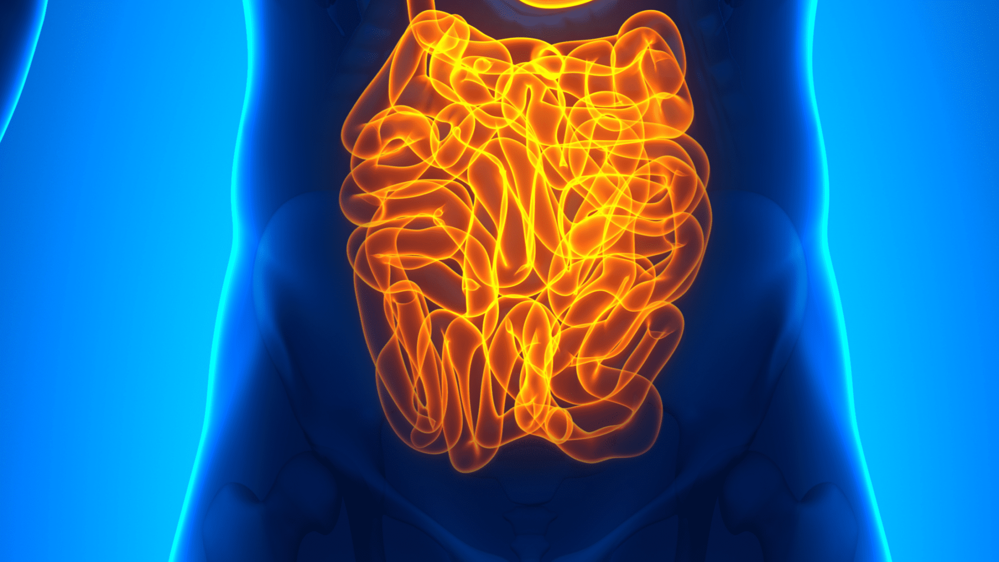 Sepsis, Gastrit, Bağırsak